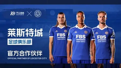 九游体育(JIUYOU SPORTS)官方网站－官网入口