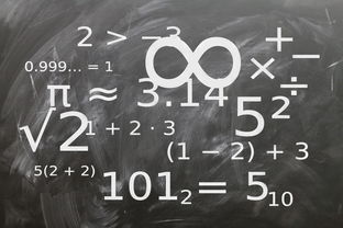 九游官网入口充值-中小学体育课程教学内容优化研究，中小学体育教学内容的衔接研究