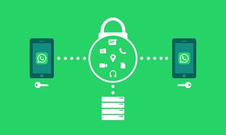 九游体育-体育新闻采编流程中的内容安全机制构建，体育新闻报道要求